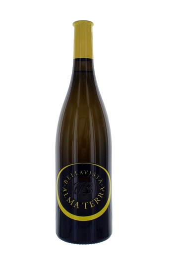 [000037808] Bellavista Alma Terra Curtefranca Bianco DOC