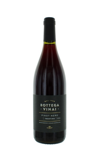 [000038095] Cavit Bottega Vinai Pinot Nero Trentino DOC
