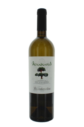 [000038397] Mastroberardino Morabianca Irpinia Falanghina DOC