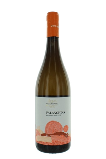 [000038641] Villa Raiano Falanghina Beneventano IGT
