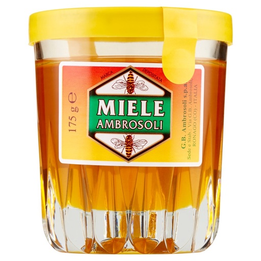 [000013290] AMBROSOLI MIELE MILLEFIORI GR.175