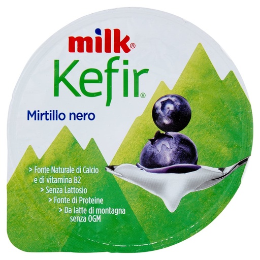 [000036813] MILK KEFIR CREMOSO MIRTILLO GR.150