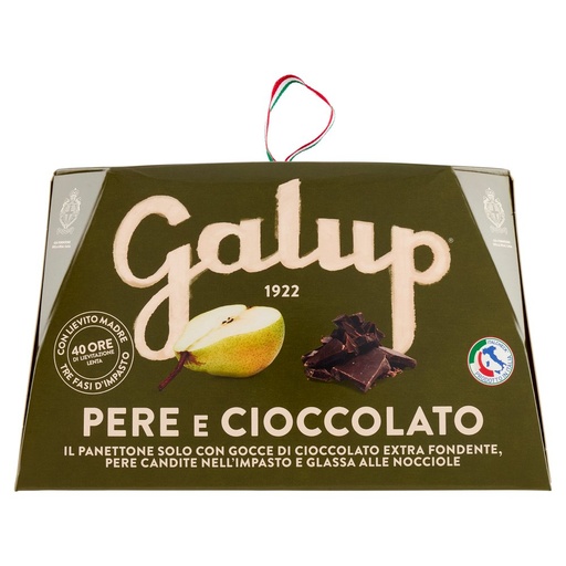 [801516020] GALUP PANETTONE PERE&CIOCC.750GR.
