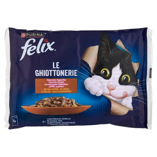 [801516791] FELIX GHIOTTONERIE CONIG&AGN.4X85GR
