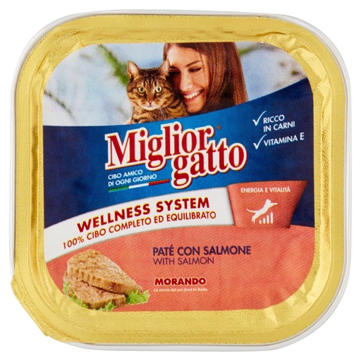 [000000435] Miglior Gatto Vaschetta Pate' con Salmone Gr.100
