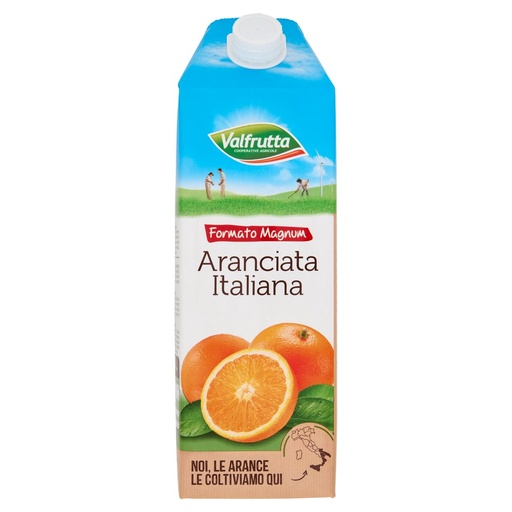 [000002149] Valfrutta Bevanda Aranciata Italiana Brik Lt.1.5