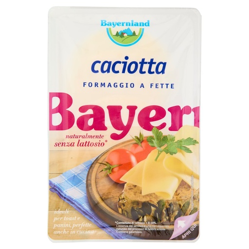 [000002254] Bayernland Caciotta Fette senza Lattosio Gr.100