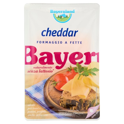 [000002255] Bayernland Cheddar Fette senza Lattosio Gr.100