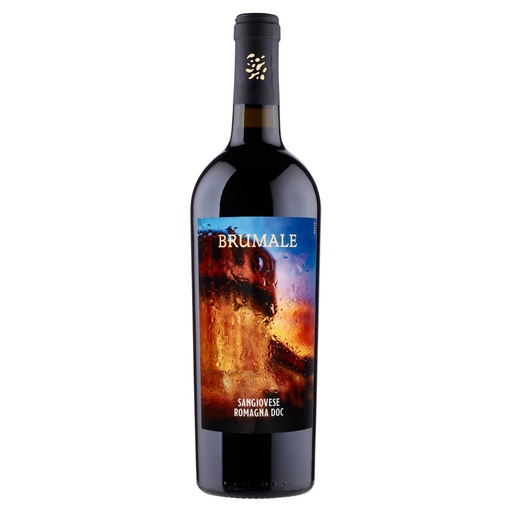 [000005726] Brumale Sangiovese Romagna Cl.75 Vol.12°