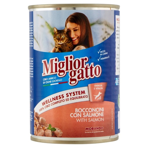 [000006912] Miglior Gatto Bocconcini con Salmone Gr.405